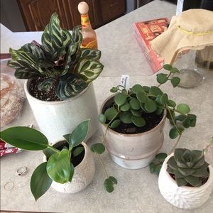 Meet your Posher, Miranda